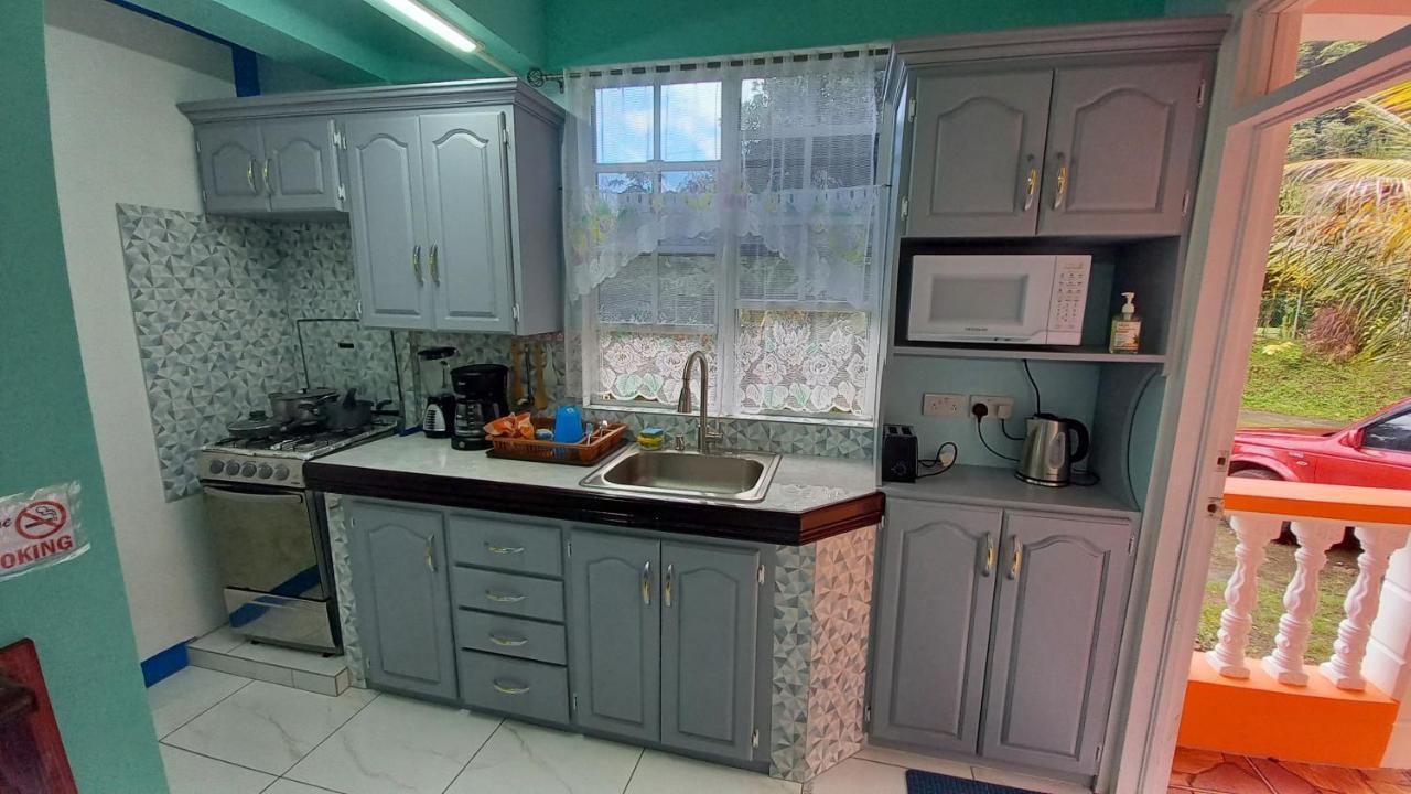 Ferienwohnung Cozy Vacation Retreat With Free Parking Roseau Exterior foto