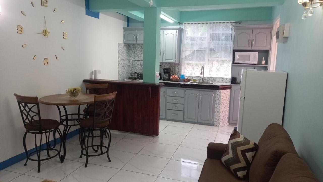 Ferienwohnung Cozy Vacation Retreat With Free Parking Roseau Exterior foto